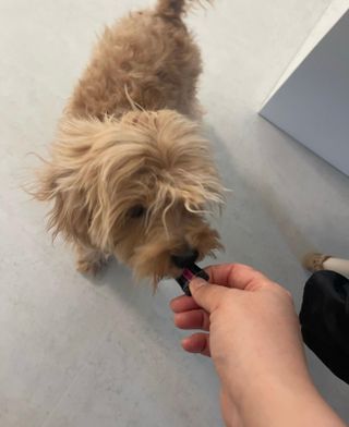 leah님이 올린 리뷰 사진 3