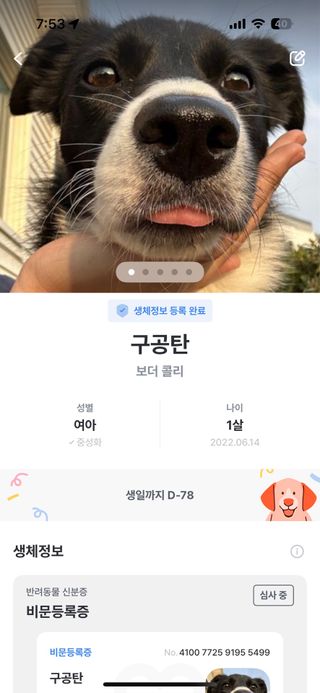mlxl님이 올린 리뷰 사진 2