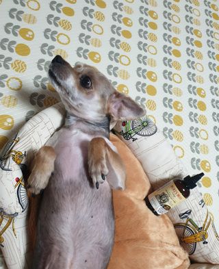 아르코♡님이 올린 리뷰 사진 4
