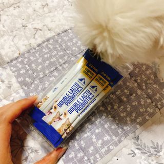 씨디랩 구강에서 장까지 한 번에 관리하는 더블락토 강아지 고양이 유산균 — 5점을 준 리뷰어가 2021년 6월 올린 사용 사진