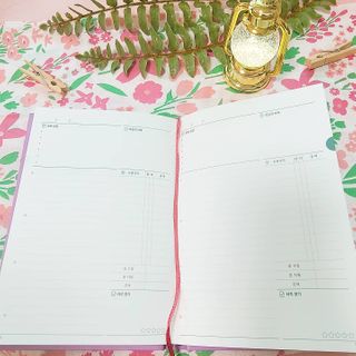 세일러묵님이 올린 리뷰 사진 3