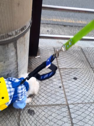 미진냥님이 올린 리뷰 사진 2