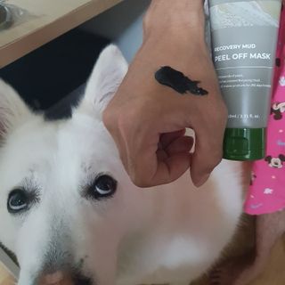 딸랑구둘🥰님이 올린 리뷰 사진 1