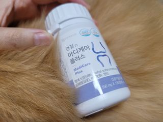 프리마인 평생 써야하는 관절의 건강을 위한 완벽설계 솔루션 관절n마디케어 플러스 120정 — 5점을 준 리뷰어가 2021년 9월 올린 사용 사진