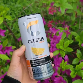셀시어스 오리지널 325ml 에너지 비타민 피트니스 드링크(24can) 다이어트 음료 — 5점을 준 리뷰어가 2022년 5월 올린 사용 사진