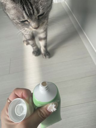 sol님이 올린 리뷰 사진 3