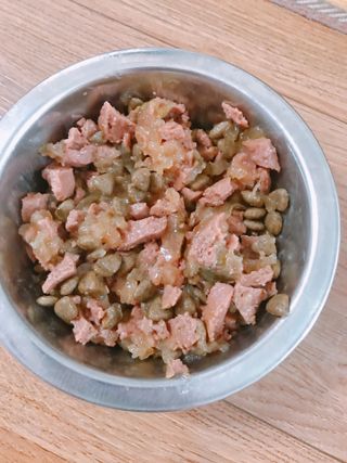 비타크래프트 조에시 하트캔 85g 강아지 습식캔 10캔 — 5점을 준 리뷰어가 2021년 9월 올린 사용 사진