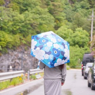 연가시님이 올린 리뷰 사진 2