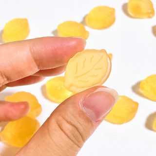 샤니님이 올린 리뷰 사진 3