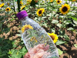 몽베스트 [MONTBEST]위드어스 500mL 20병 — 5점을 준 리뷰어가 2022년 6월 올린 사용 사진