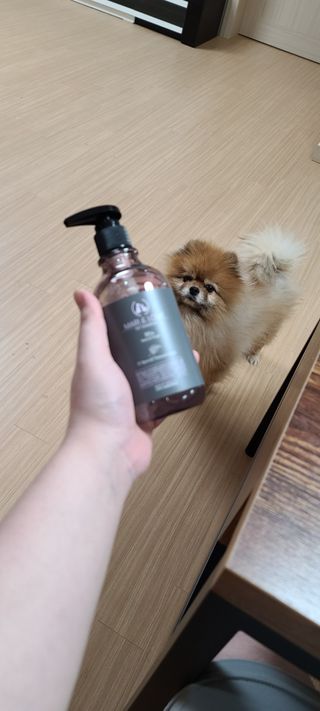 마리앤루이펫샴푸 [mari and louie pet shampoo] — 5점을 준 리뷰어가 2021년 5월 올린 사용 사진