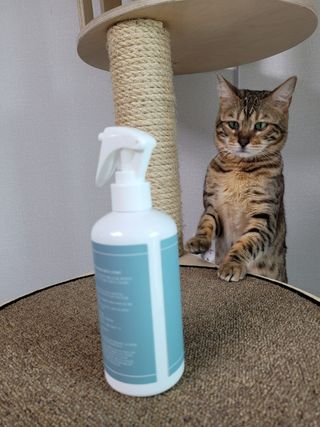 제리망고님이 올린 리뷰 사진 2