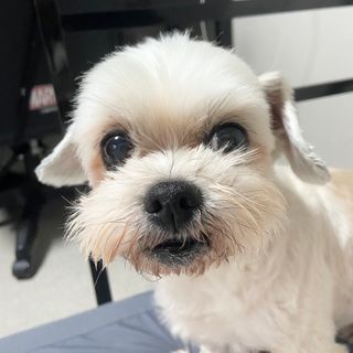 아름콩님이 올린 리뷰 사진 4
