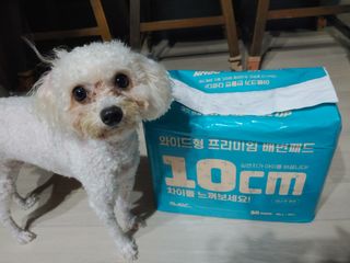 햇님달님님이 올린 리뷰 사진 1