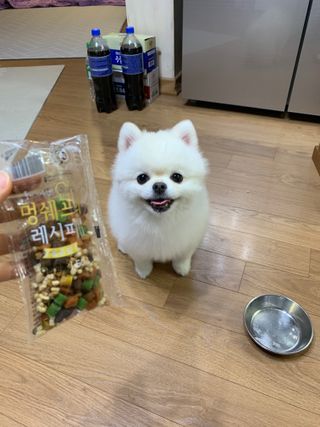꾸준히님이 올린 리뷰 사진 1