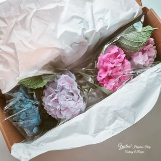 예슬나님이 올린 리뷰 사진 2