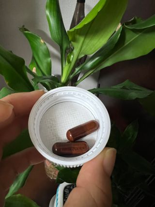 프리마인 홍삼의 강력한 에너지, 이제는 흡수율을 높인 최첨단 캡슐로 간편하게 초고속 충전하세요. — 5점을 준 리뷰어가 2022년 6월 올린 사용 사진