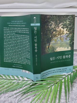 미인도시님이 올린 리뷰 사진 4