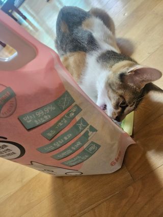 cherishlim님이 올린 리뷰 사진 2