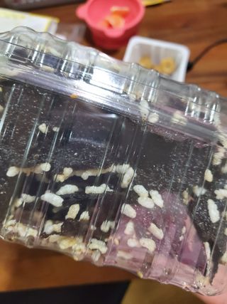 태양이맘님이 올린 리뷰 사진 3