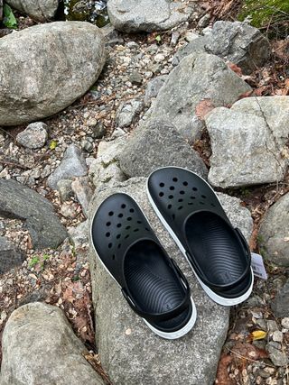 COQUI 코쿠이 점퍼(신규 컬러) 및 니코, 시드 — 4점을 준 리뷰어가 2024년 5월 올린 사용 사진