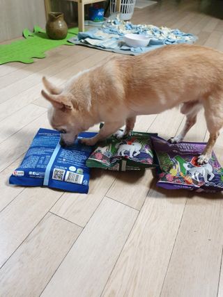 꽃사과님이 올린 리뷰 사진 1