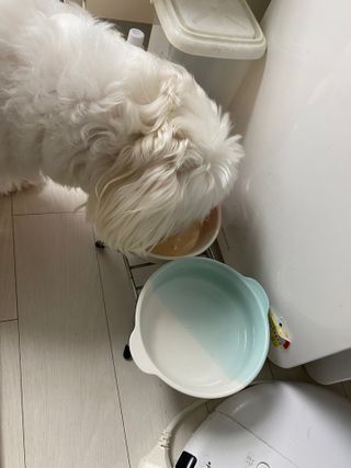 민트랄라님이 올린 리뷰 사진 3