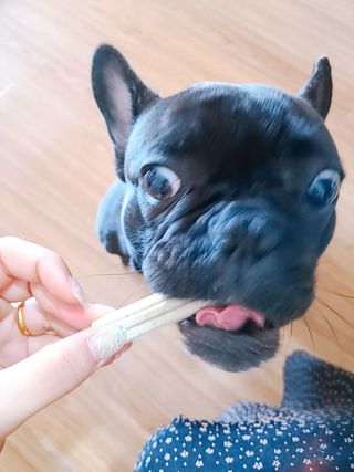 페페로니 클린플러스 덴탈치킨껌 10g x 14p — 5점을 준 리뷰어가 2021년 7월 올린 사용 사진