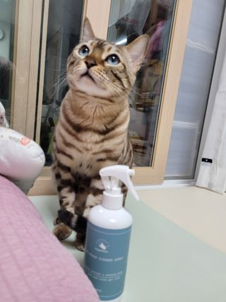 제리망고님이 올린 리뷰 사진 3