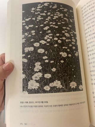 샬페이님이 올린 리뷰 사진 4