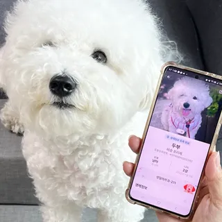 신원경님이 올린 리뷰 사진 1