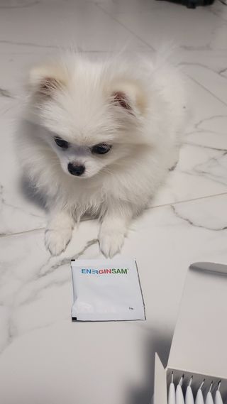 찌니님이 올린 리뷰 사진 3