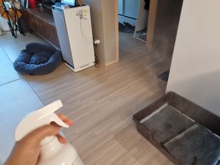 코콩님이 올린 리뷰 사진 3