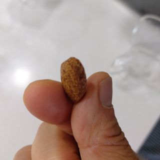 프리마인 먹는건 초간편, 영양소와 흡수율까지 챙겨야 백점.예뻐지는 완벽레시피 비타앤오 30정/CH.V콜라겐필름 30매 — 4점을 준 리뷰어가 2021년 8월 올린 사용 사진