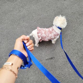 jj스타일님이 올린 리뷰 사진 1