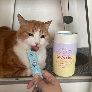 페페로니 잘 먹는 캣츄 - 무항생제 닭고기 12개 + 원양선 참치 12개 — 5점을 준 리뷰어가 2021년 8월 올린 사용 사진