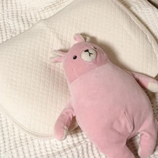 트윙클J님이 올린 리뷰 사진 3