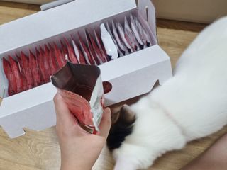 네몽이님이 올린 리뷰 사진 2