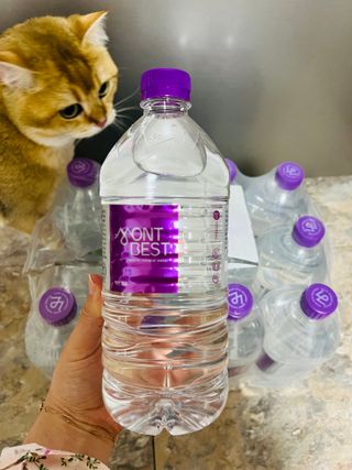 몽베스트 MONTBEST 1L 12입 — 5점을 준 리뷰어가 2022년 4월 올린 사용 사진