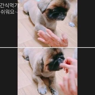 러블리혜교님이 올린 리뷰 사진 4