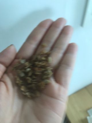 만기사갈네트님이 올린 리뷰 사진 4