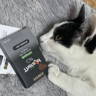 둠둠힝님이 올린 리뷰 사진 3