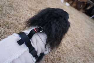 일삼마미뽕님이 올린 리뷰 사진 2