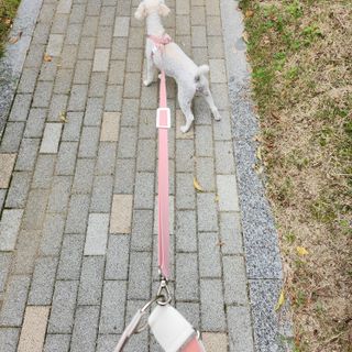 워리네님이 올린 리뷰 사진 4