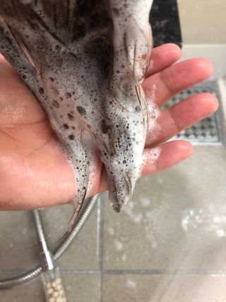 나와링님이 올린 리뷰 사진 3