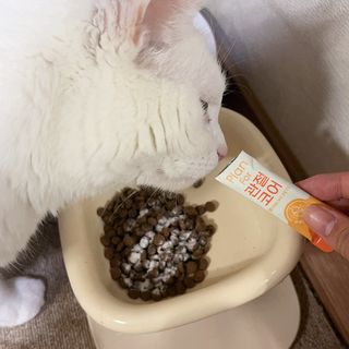 jyerin님이 올린 리뷰 사진 1