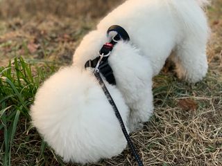 용용맹님이 올린 리뷰 사진 1