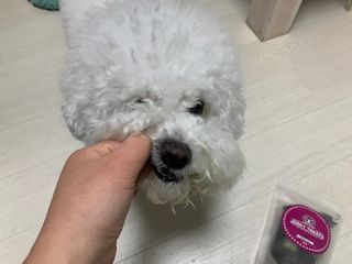 bae님이 올린 리뷰 사진 1
