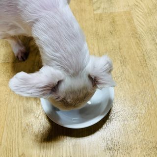 뽀히님이 올린 리뷰 사진 3