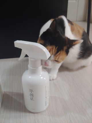 홍제이님이 올린 리뷰 사진 3